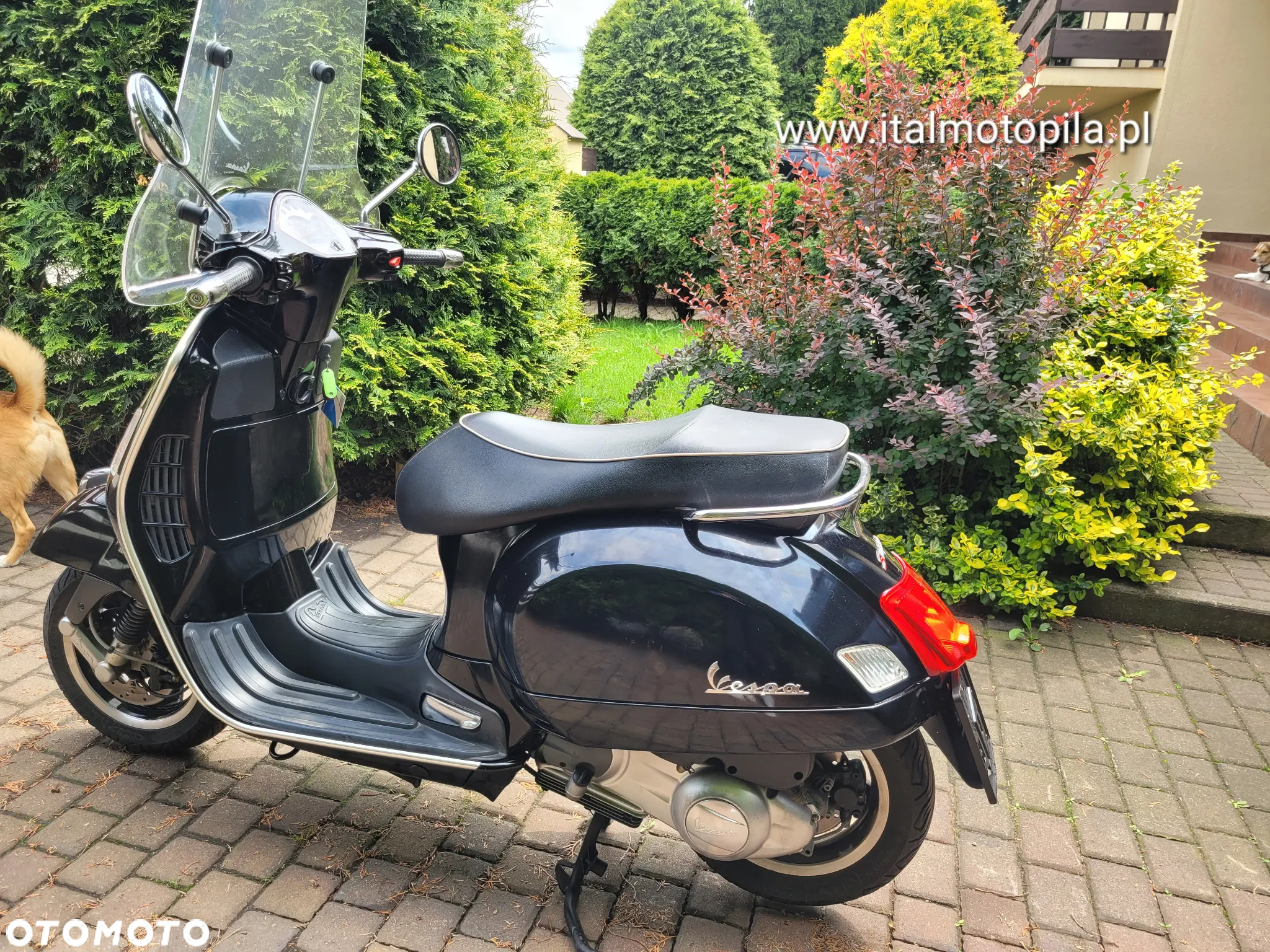 Piaggio Vespa - 15
