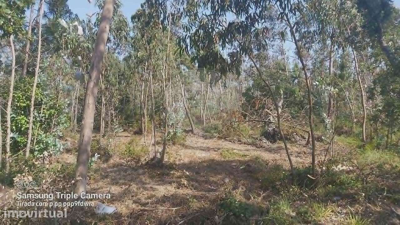 Terreno  para venda - Grande imagem: 5/11