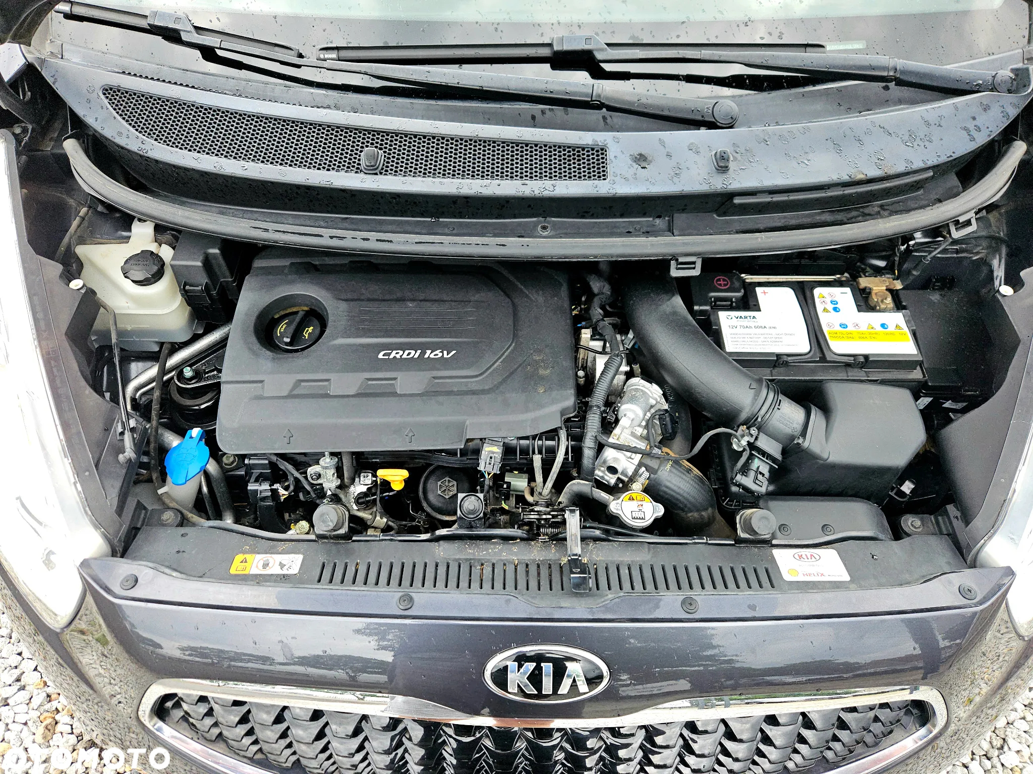 Kia Venga 1.6 CRDi 128 Fifa World Cup Edition - 40