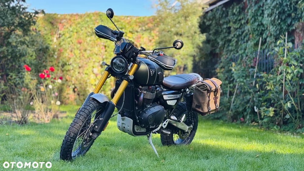 Triumph Scrambler - 2