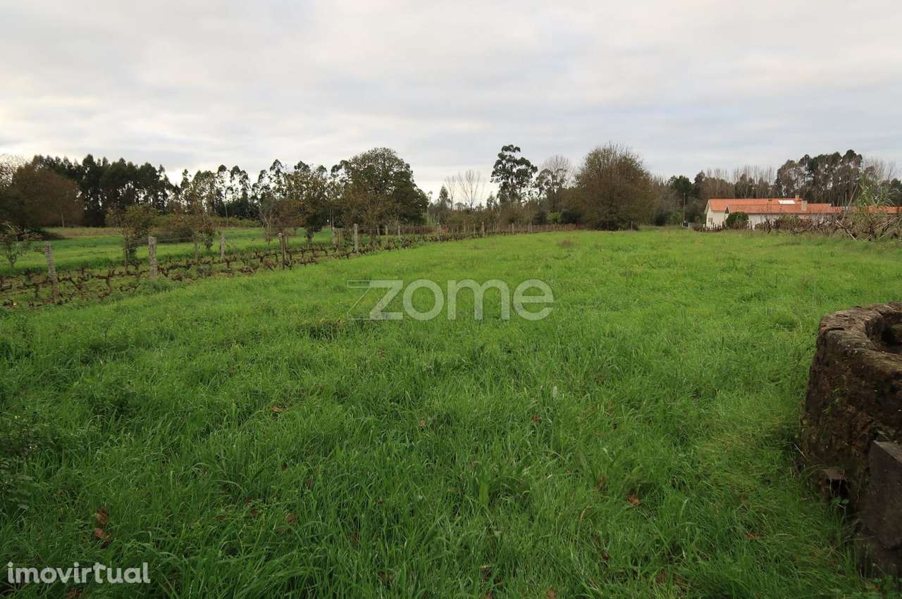 Terreno para construção com 1300m2 - Grande imagem: 3/15