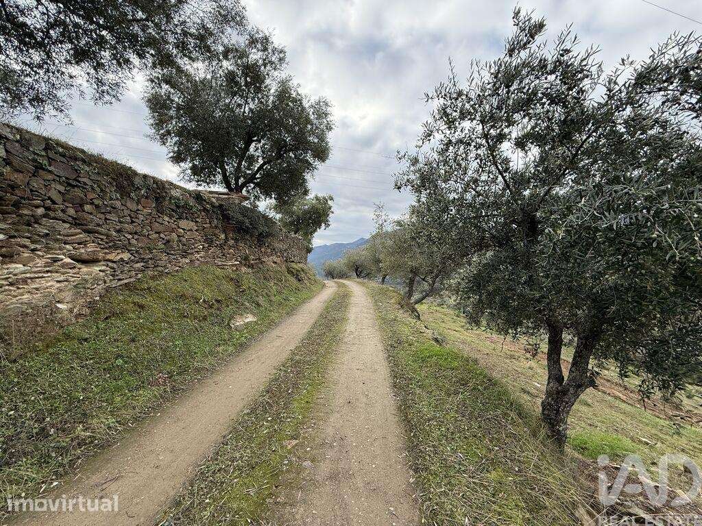 Quinta em Vila Seca e Santo Adrião - Grande imagem: 4/24