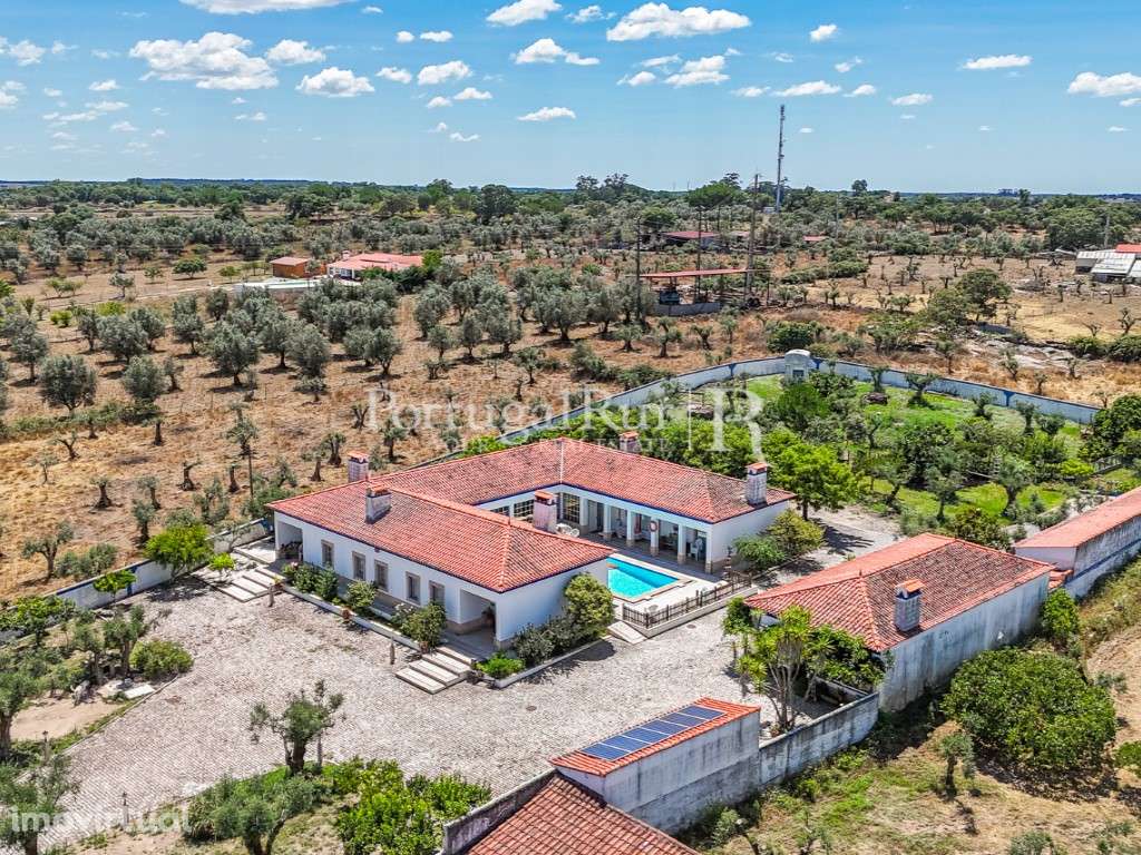 Quinta de 5.000m2 com moradia T6 - AL - Grande imagem: 3/60