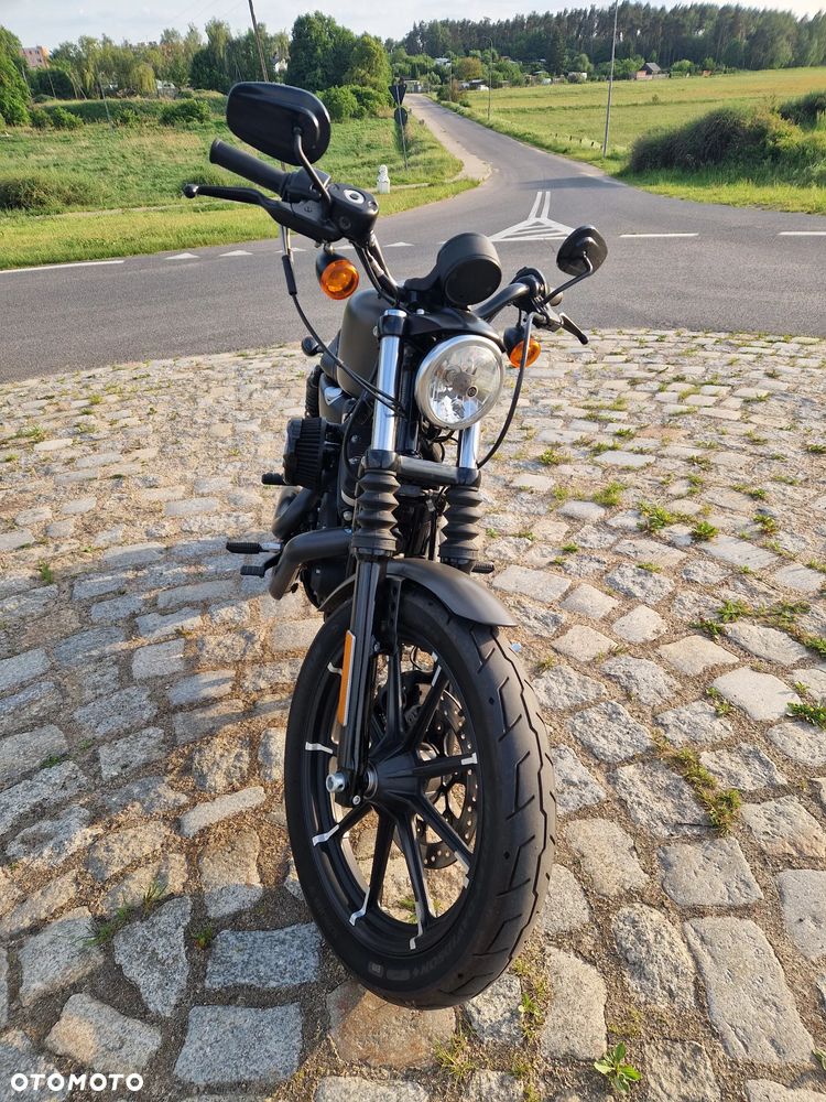 Harley-Davidson Sportster Iron 883 - 2