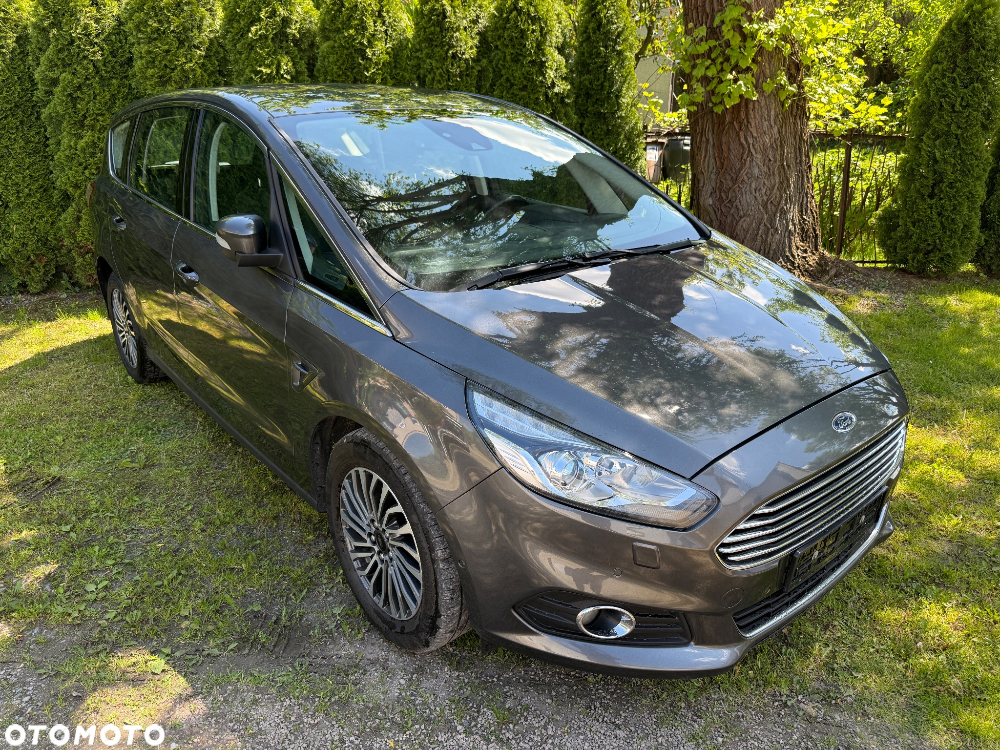 Ford S-Max 2.0 EcoBlue Titanium - 6