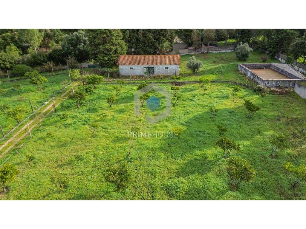 Quinta com PIP aprovado para 8 Pequenas Quintas - Grande imagem: 5/35