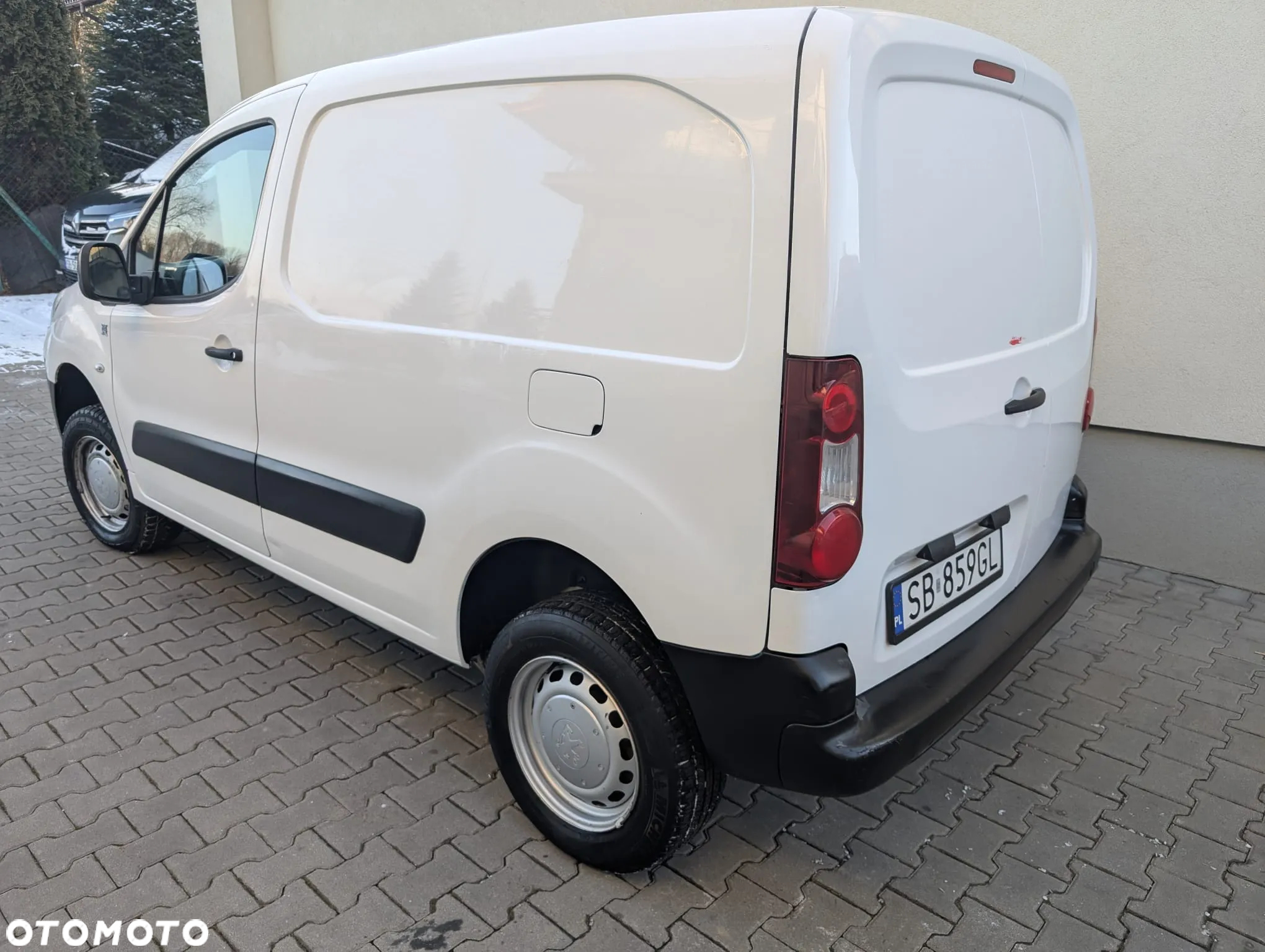 Peugeot PARTNER III Dangel 4x4 - 6