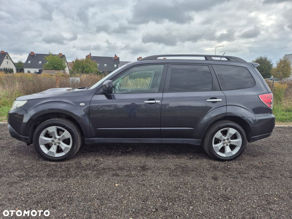 Subaru Forester - 7