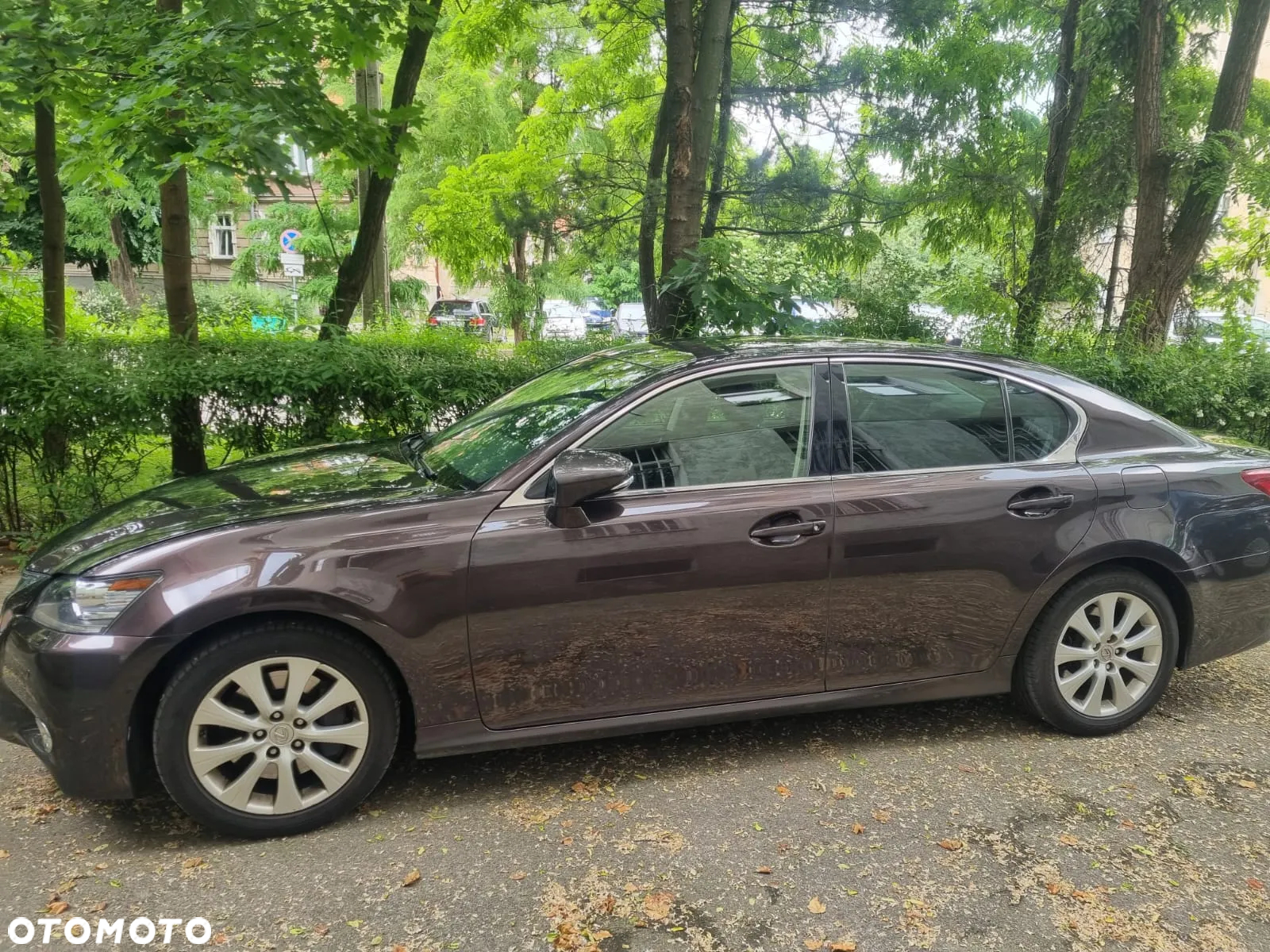 Lexus GS 250 Elegance - 6