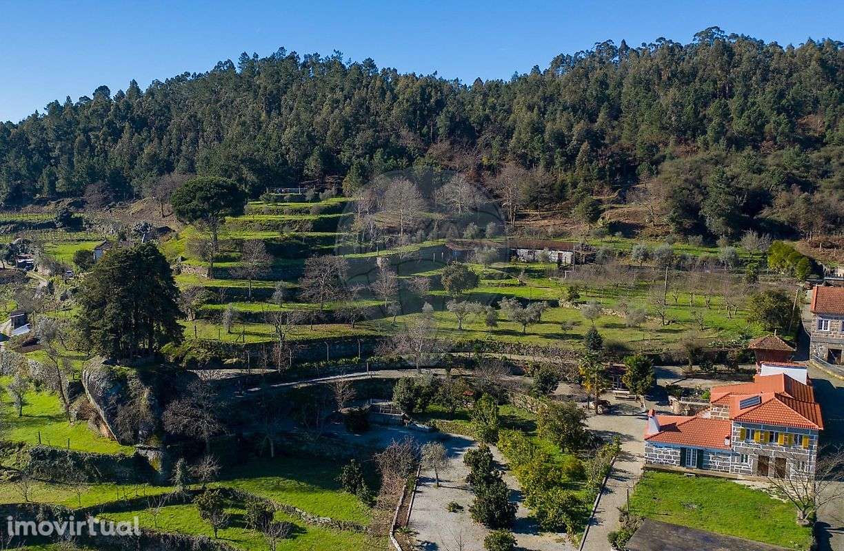 Quinta T7 para venda - Grande imagem: 2/50