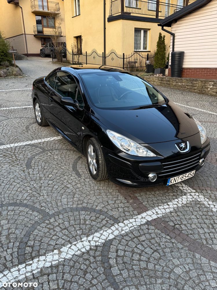 Peugeot 307 CC - 9