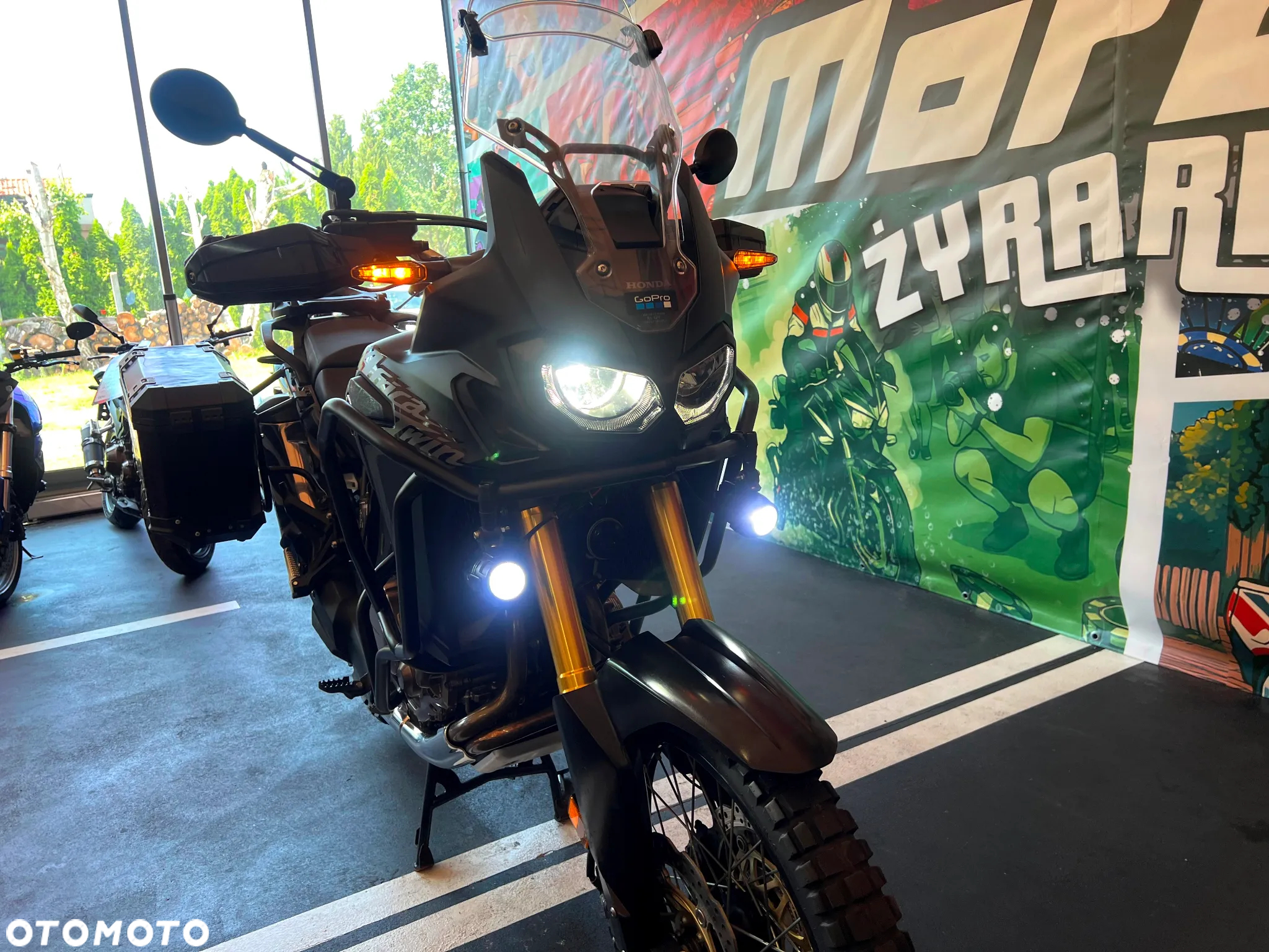 Honda CRF - 24