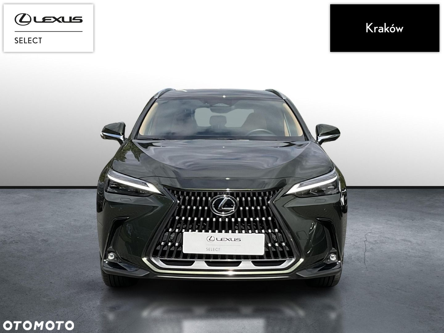 Lexus NX - 8