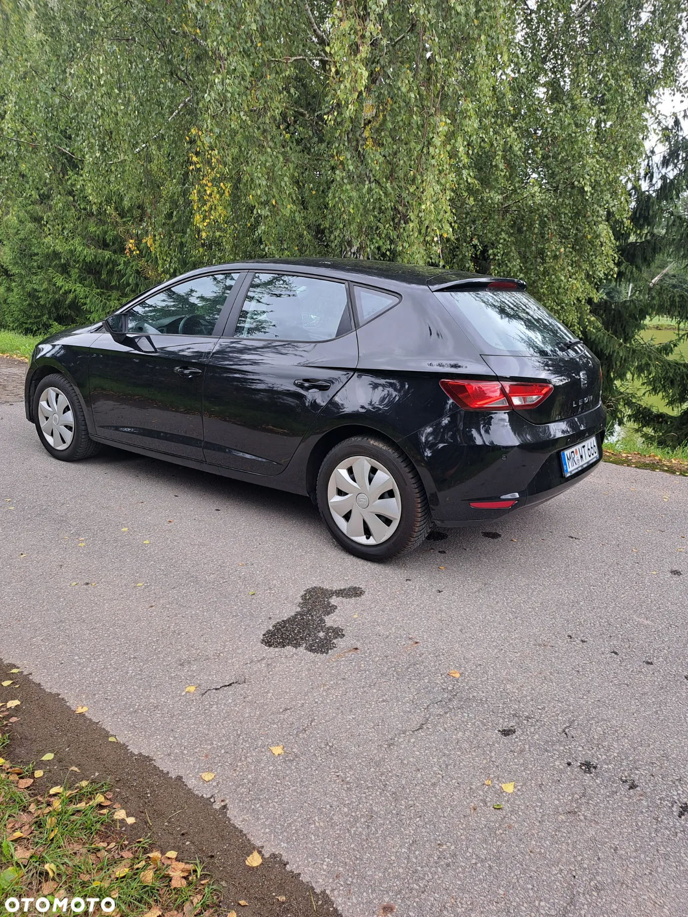 Seat Leon - 11