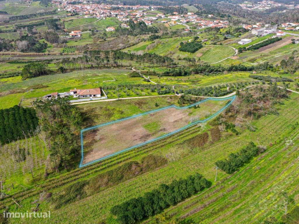 Terreno para construção em Montes, Alcobaça - Grande imagem: 3/4