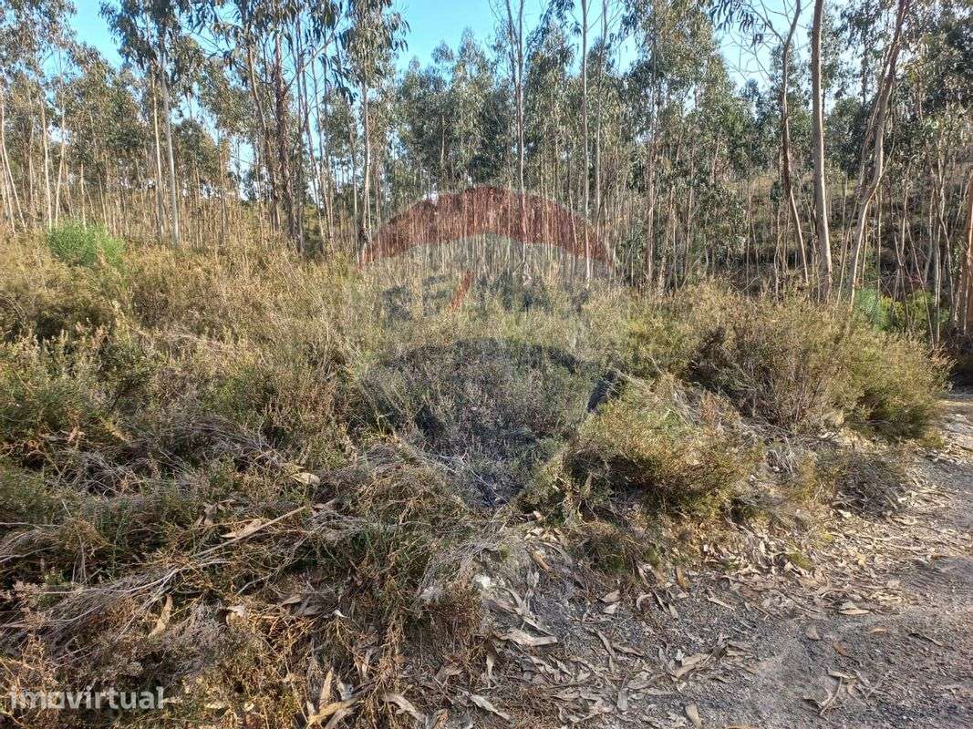 Terreno  para venda - Grande imagem: 3/5