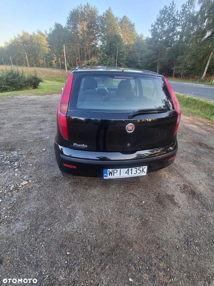 Fiat Punto 1.2 8V Classic - 6