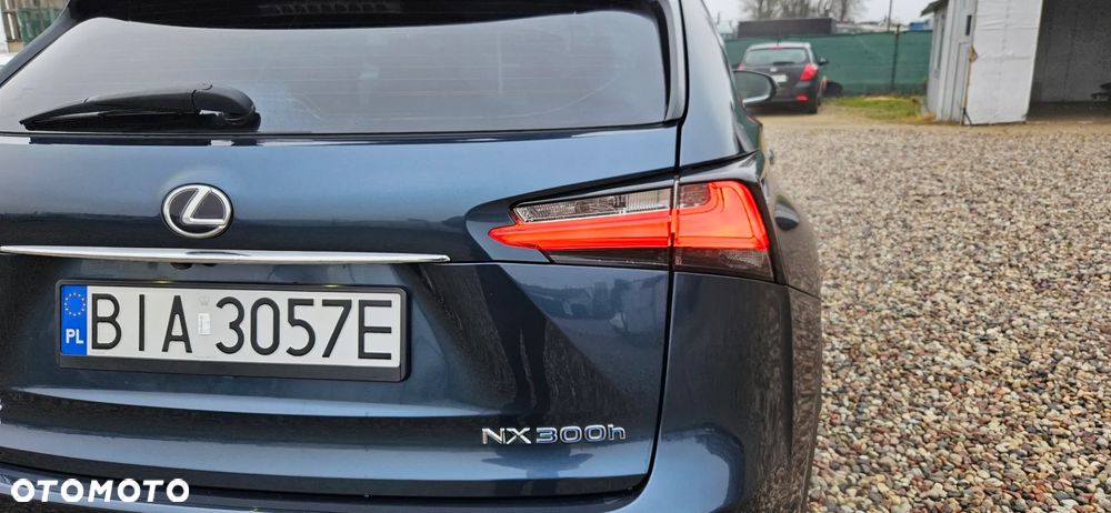 Lexus NX 300h Business Edition - 17
