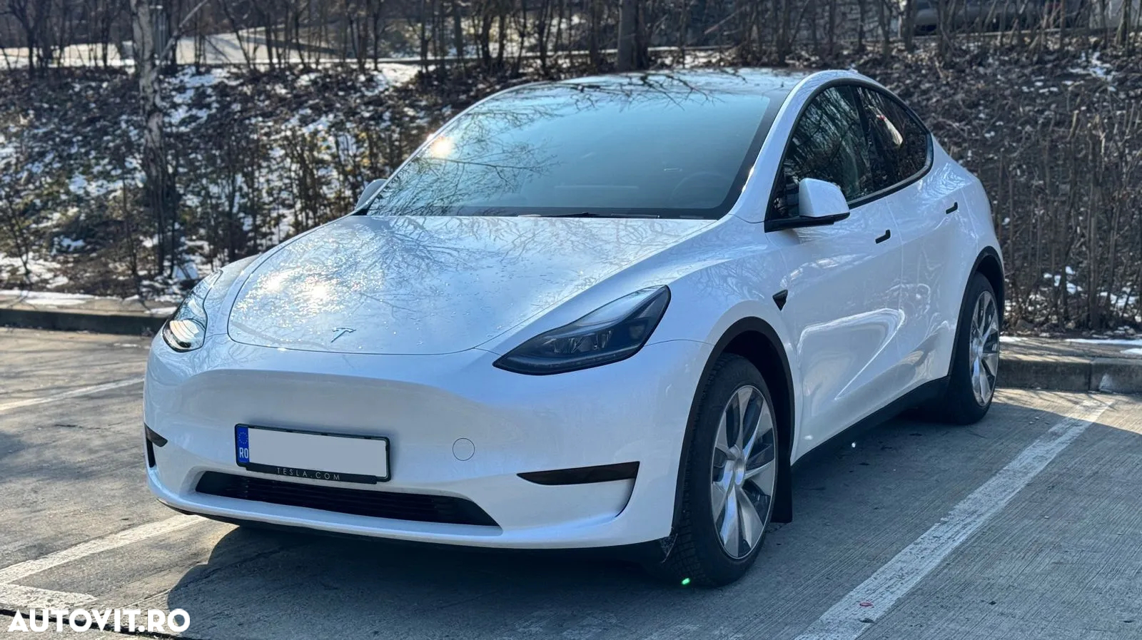 Tesla Model Y - 5