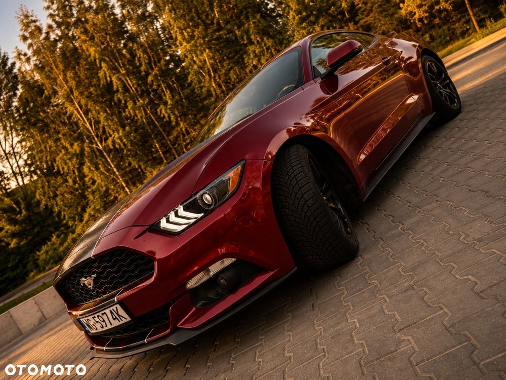 Ford Mustang - 15