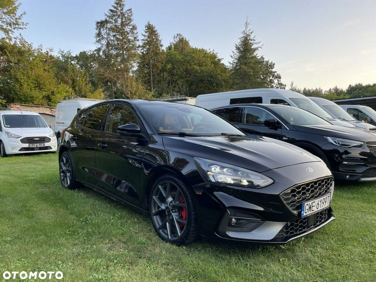 Ford Focus - 1