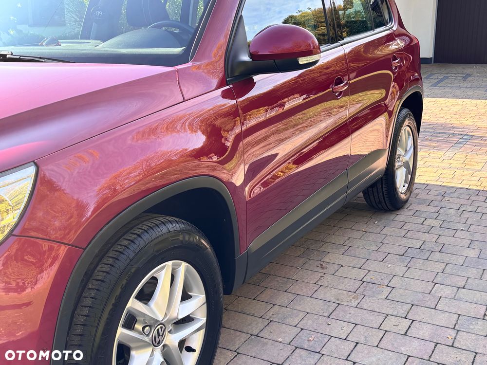 Volkswagen Tiguan - 19
