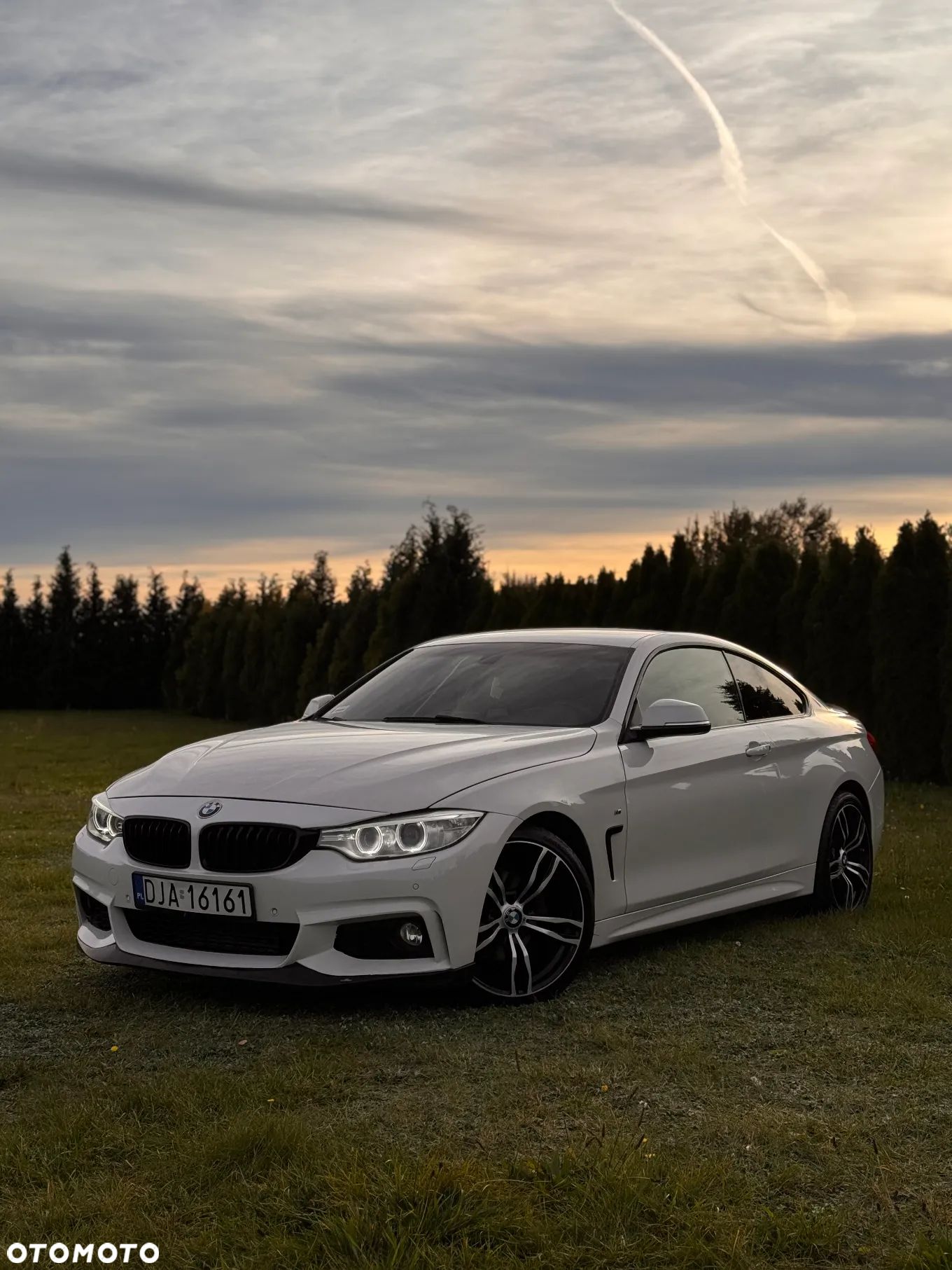 BMW Seria 4 420d Coupe M Sport - 1