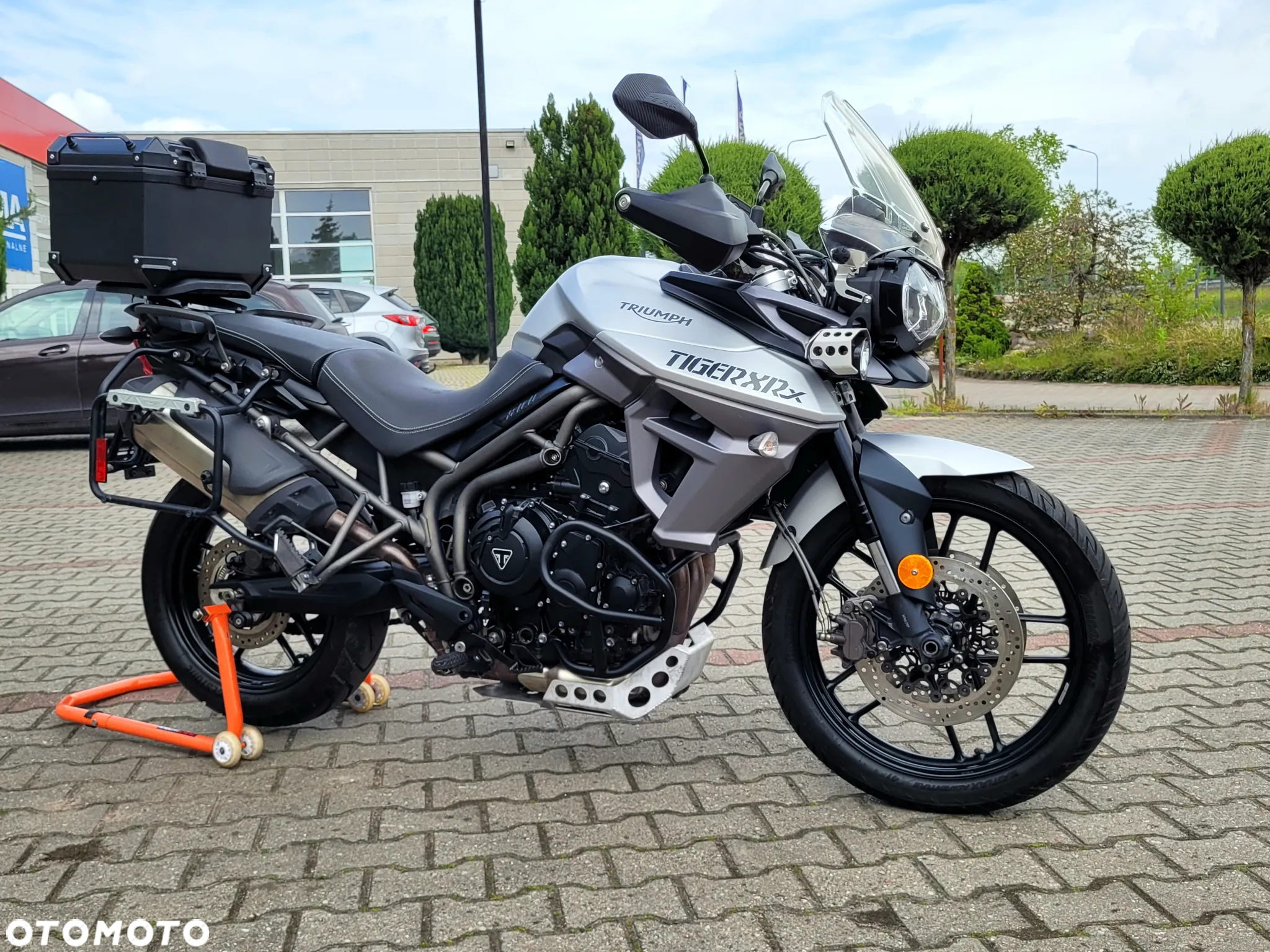 Triumph Tiger - 9