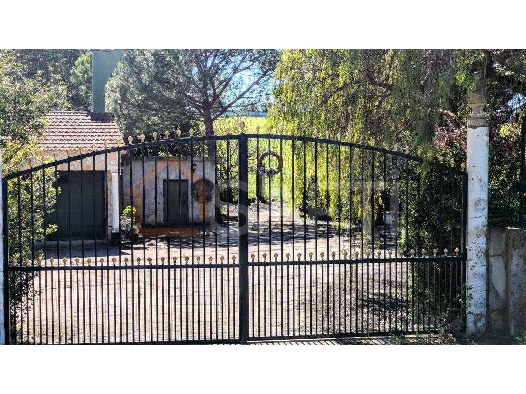 Quinta em Santarém - Grande imagem: 4/47