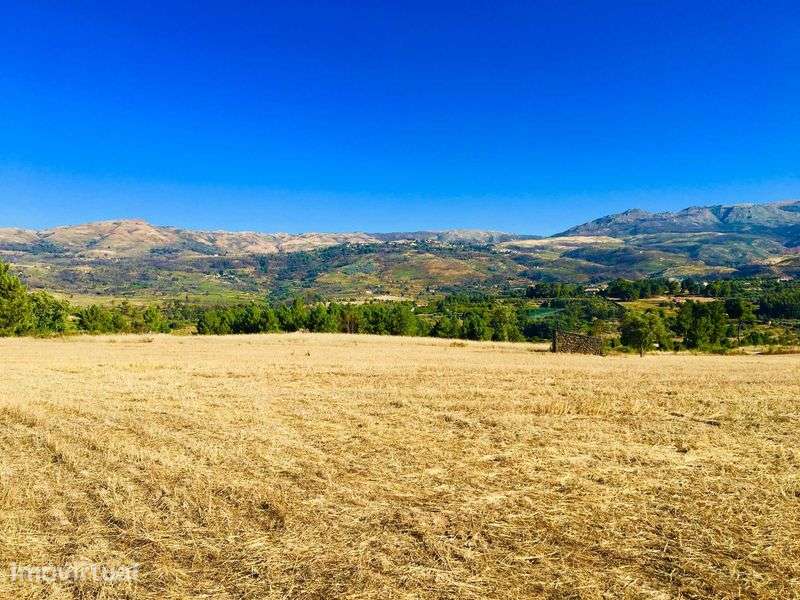 Terreno agrícola 4,93 ha | Água, EN17 e casa em pedra | Gouveia - Grande imagem: 3/11