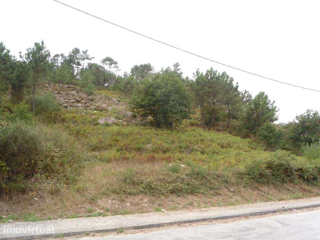 Lote de terreno - Grande imagem: 2/5