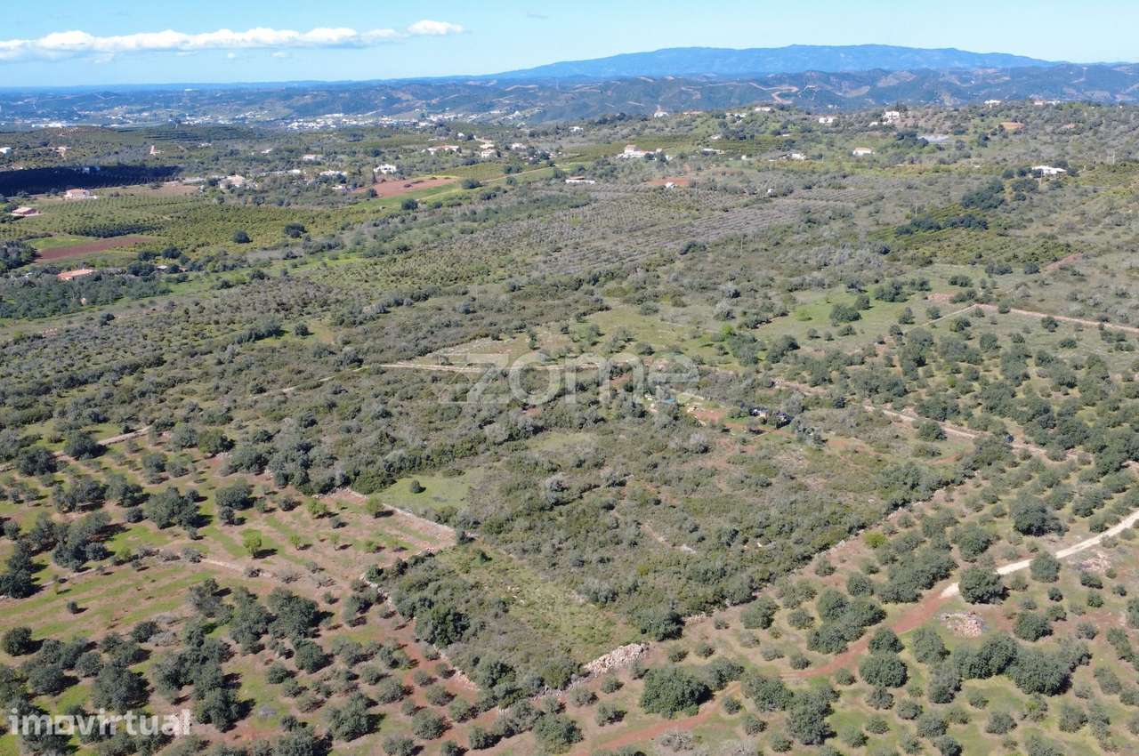 Terreno Rústico com 1390 m² na zona de Lagoão - Grande imagem: 5/17