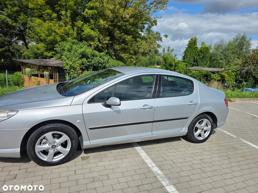 Peugeot 407 - 20