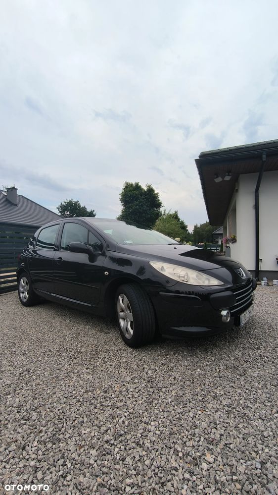 Peugeot 307 2.0 Sporty - 4