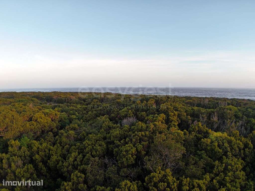 Terreno com Vista Mar e Montanha em Zona de Paisagem Protegida da V... - Grande imagem: 2/14