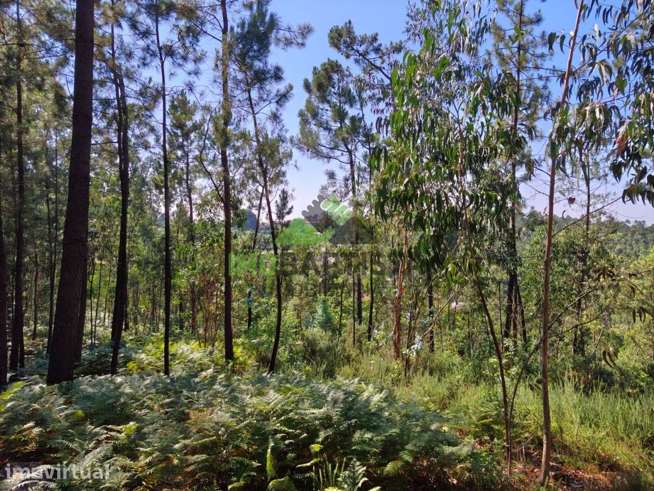 Terreno c/6940 m2 em Fermedo - Grande imagem: 3/8