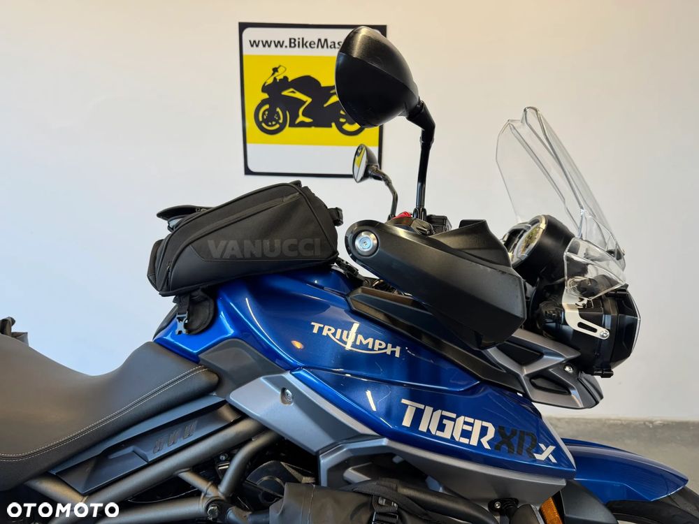 Triumph Tiger - 10