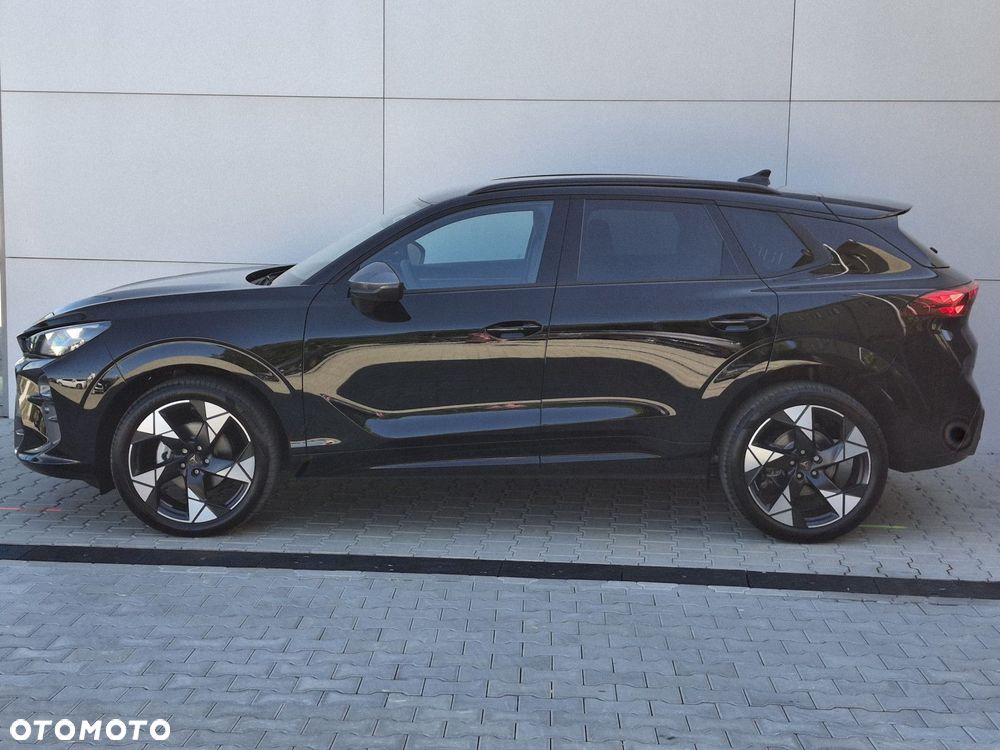Cupra Terramar - 9
