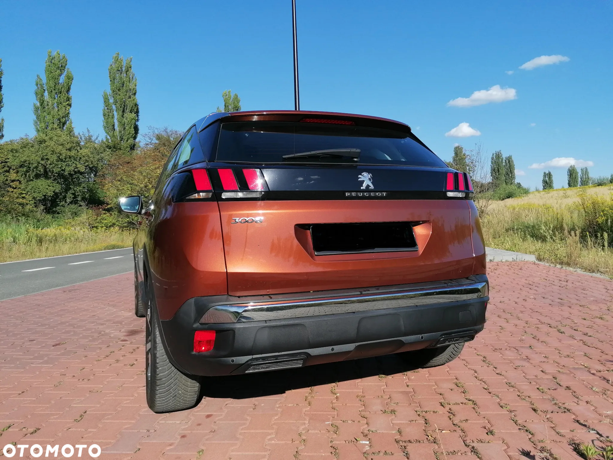 Peugeot 3008 1.6 BlueHDi Active S&S - 10