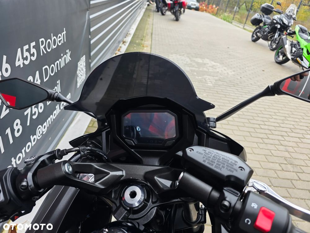 Kawasaki Ninja - 29