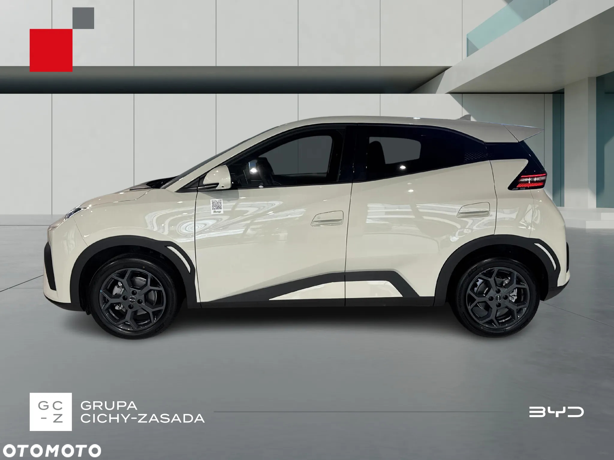 BYD Dolphin Mini - 2