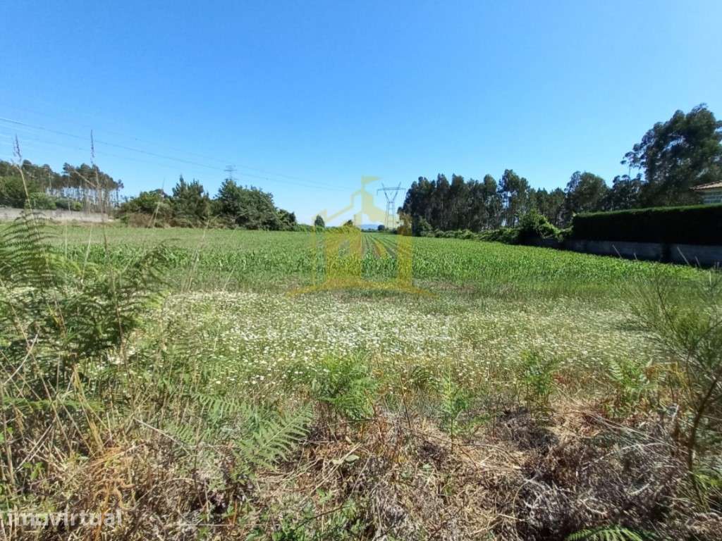 Terreno em Pedralva, Braga - Grande imagem: 2/11