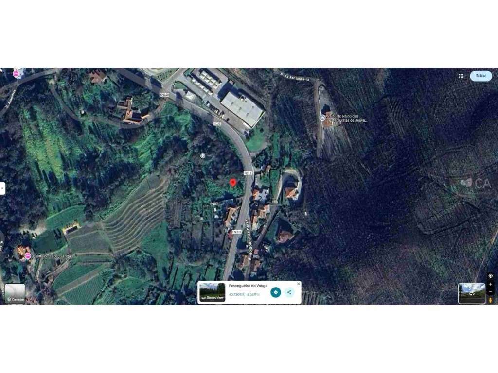 Terreno de cultura com citrinos - Grande imagem: 2/5