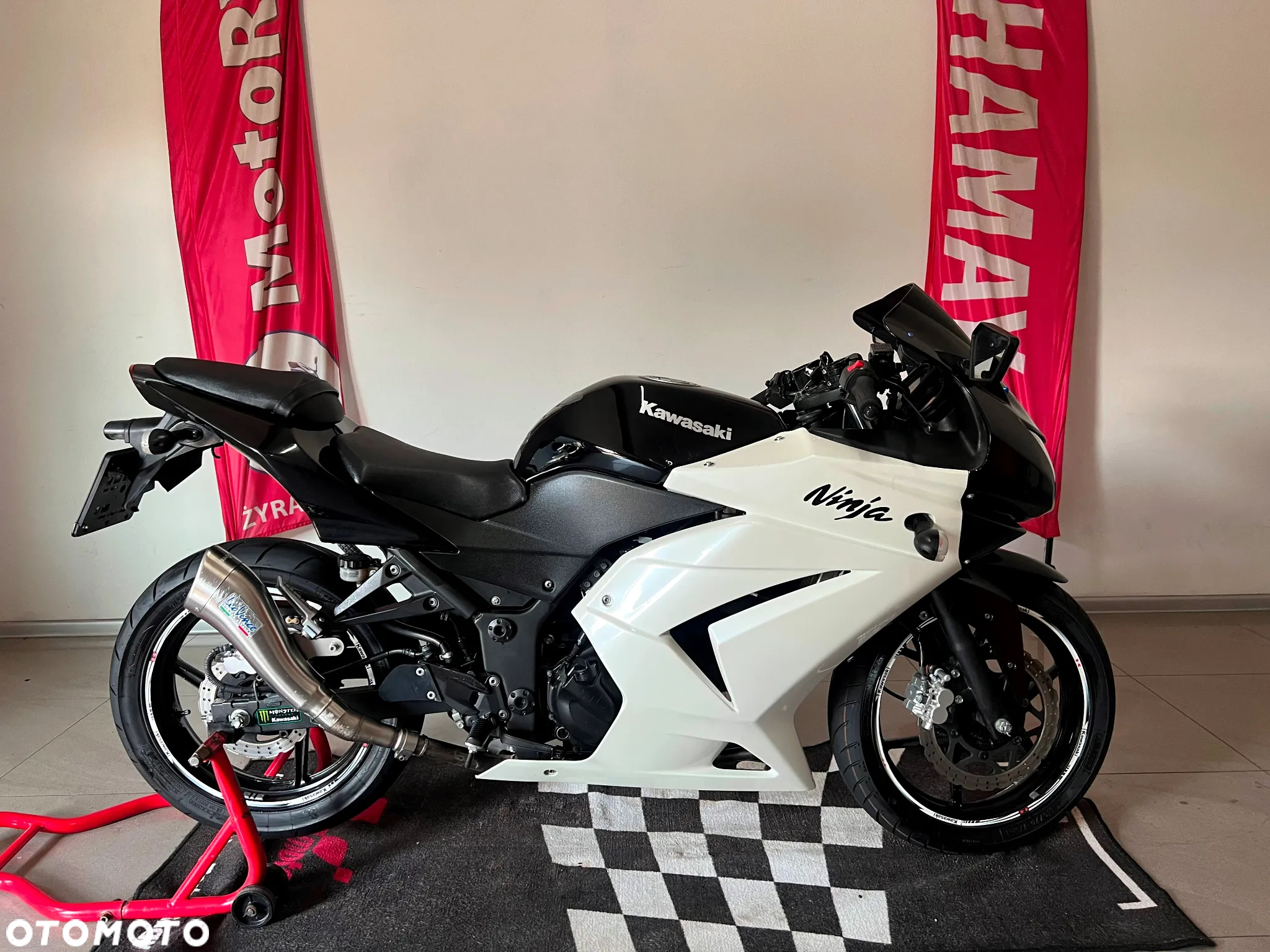 Kawasaki Ninja 250R - 4