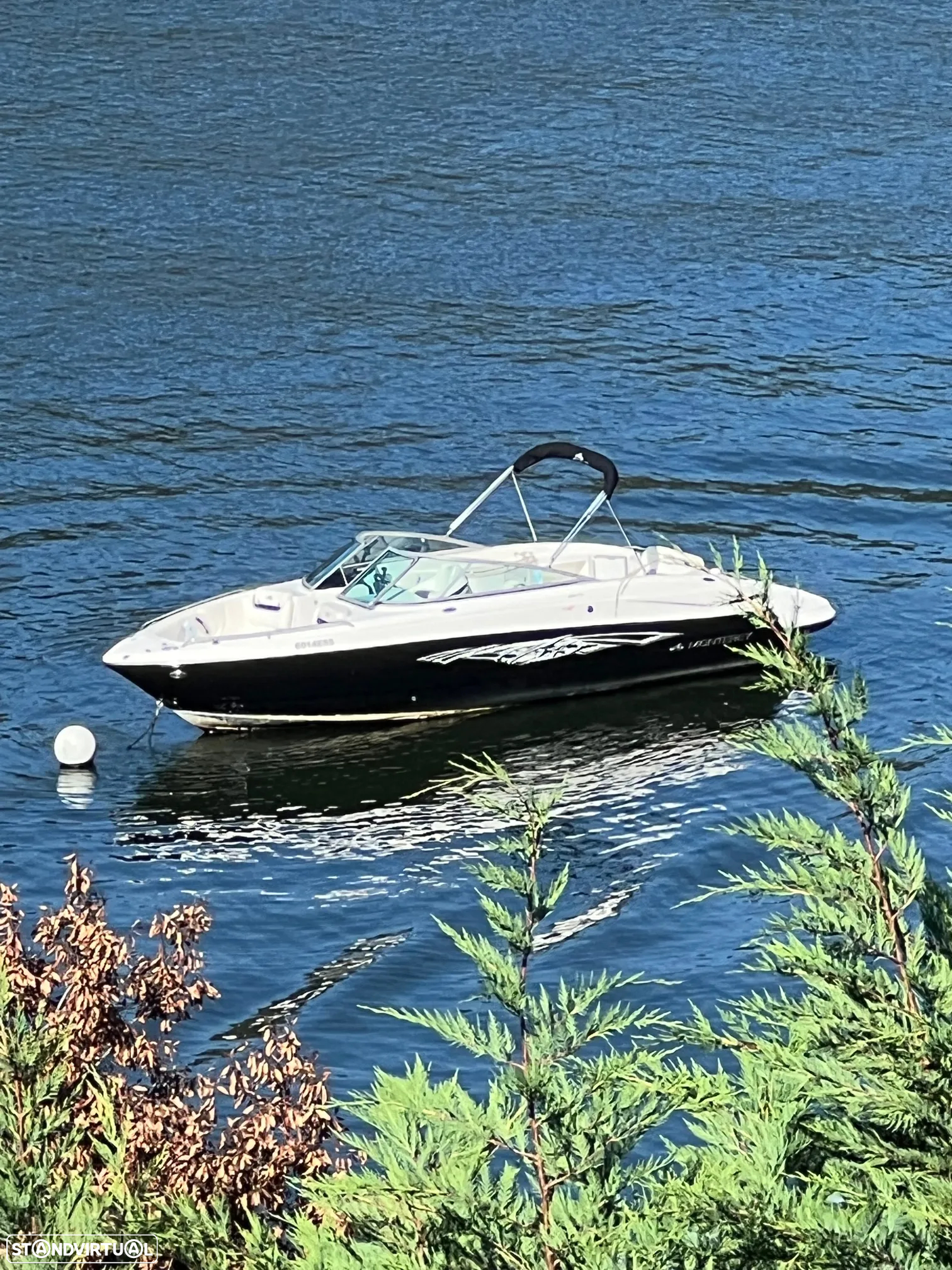 Monterey 264 FS - 18