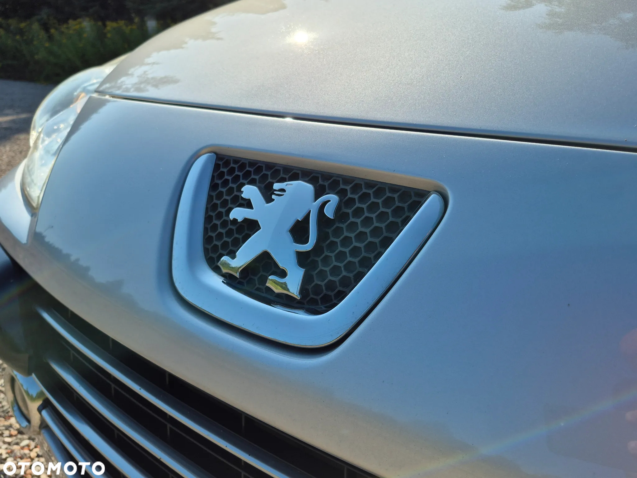 Peugeot 307 - 28