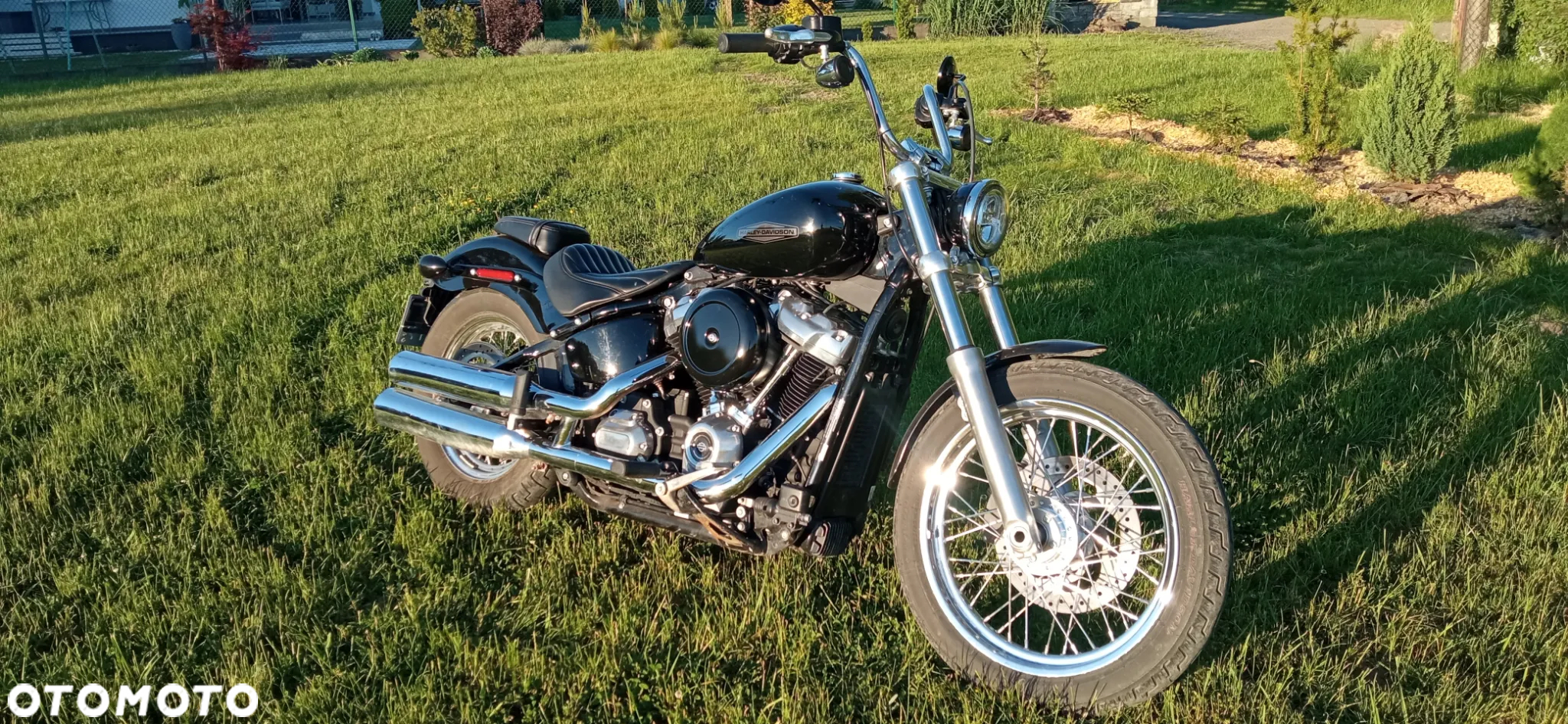 Harley-Davidson Softail Standard - 12