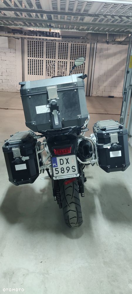 Triumph Tiger - 7