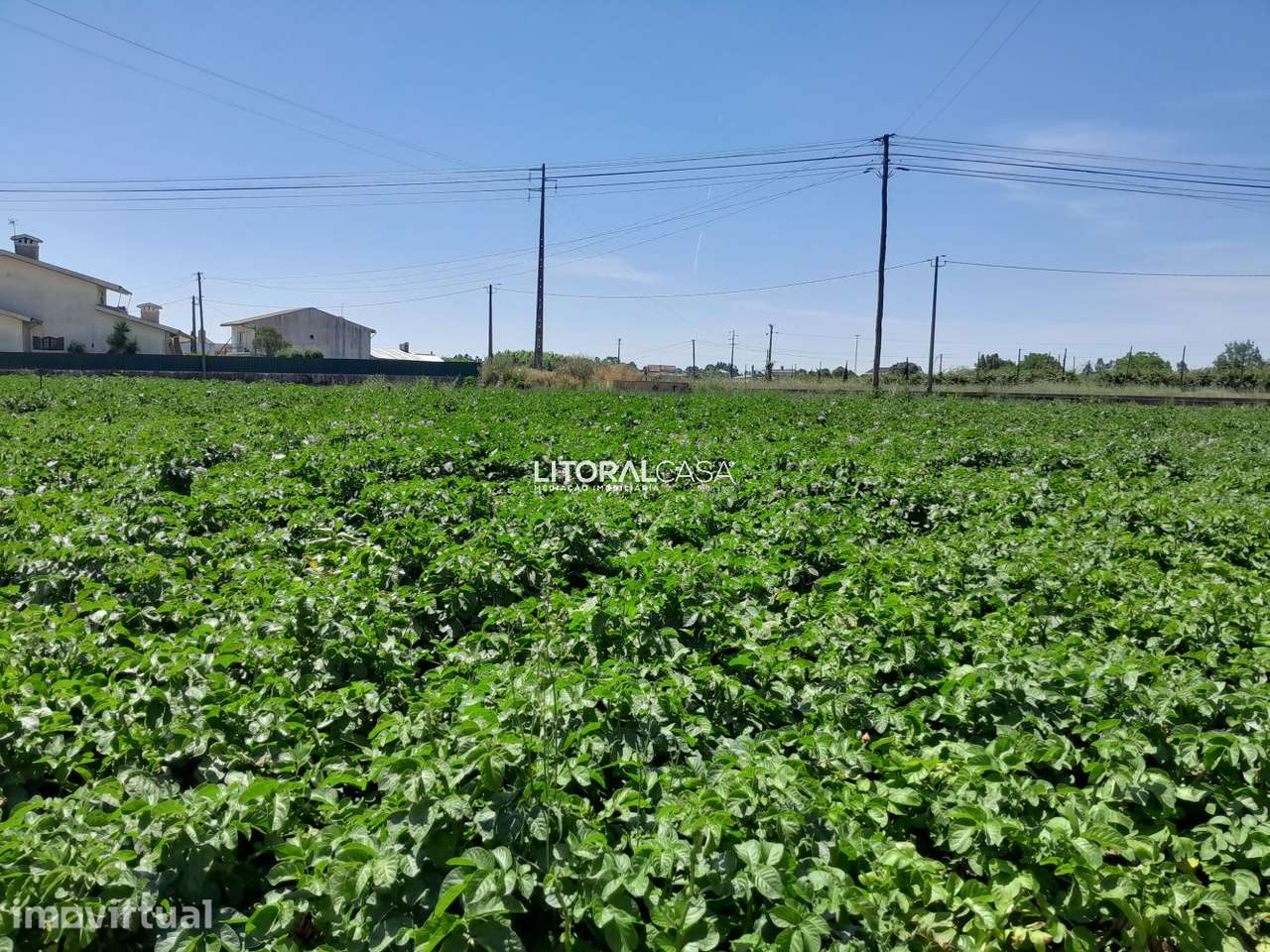 Terreno para construção com 2900m2 | Troviscal - Grande imagem: 3/12