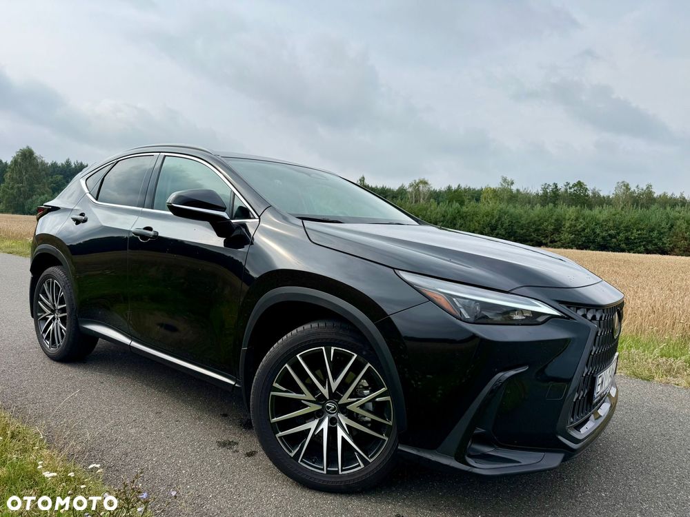 Lexus NX 300 - 2